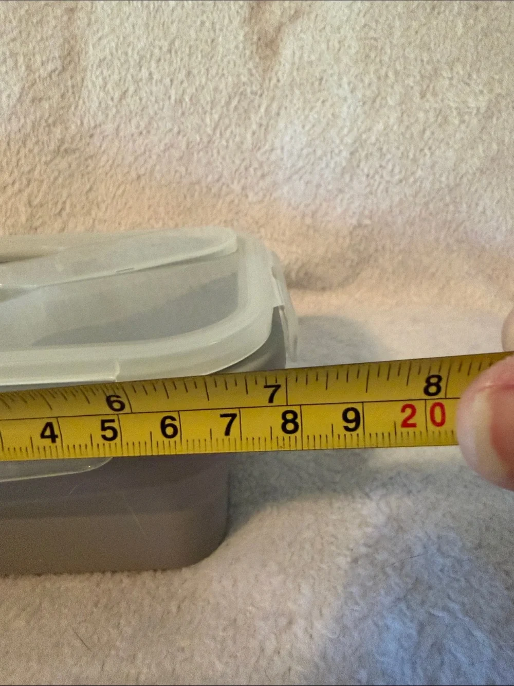 Clear Plastic Container and Collapsible Dish with Fork